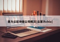 算力云区块链公司概况[云算力chia]