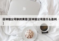 区块链公司制的黄昏[区块链公司靠什么盈利]